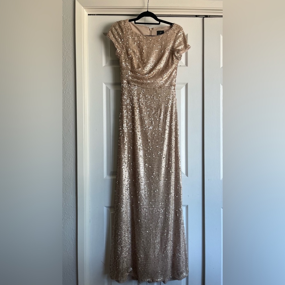 Adrianna Papell Blush Golden Champagne Sequins Maxi Gown Dress
